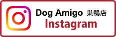 Dog Amigo 巣鴨店 インスタグラム