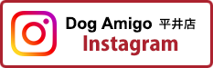 Dog Amigo 平井店 インスタグラム